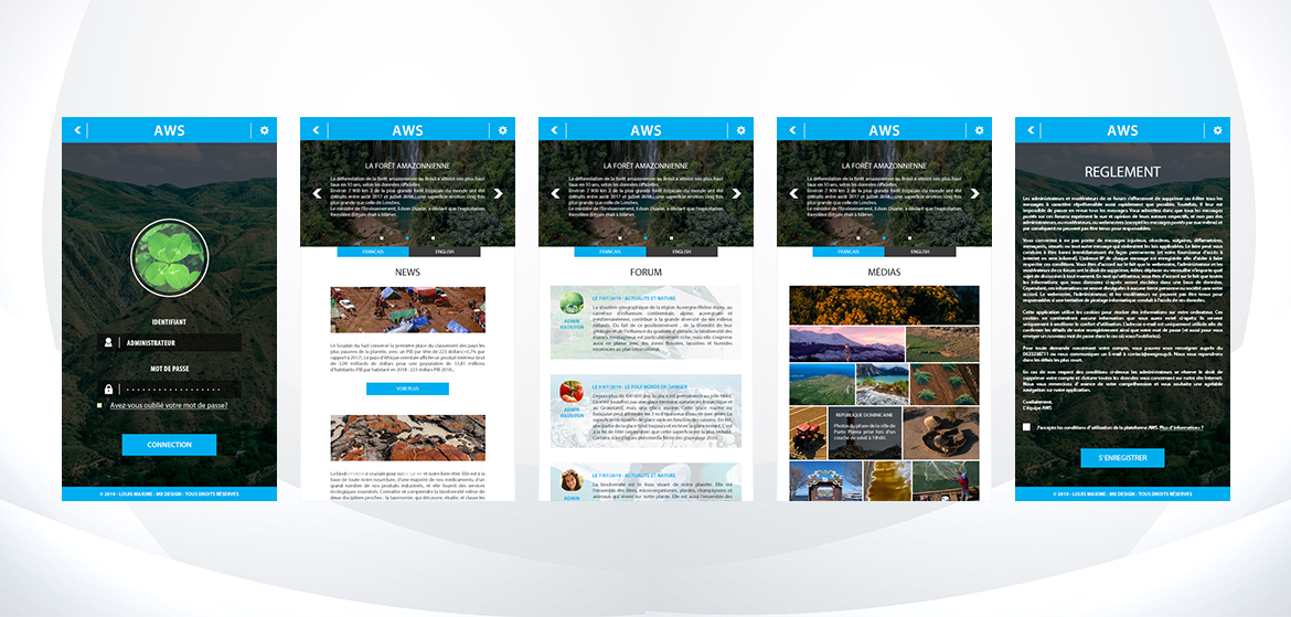 example project image